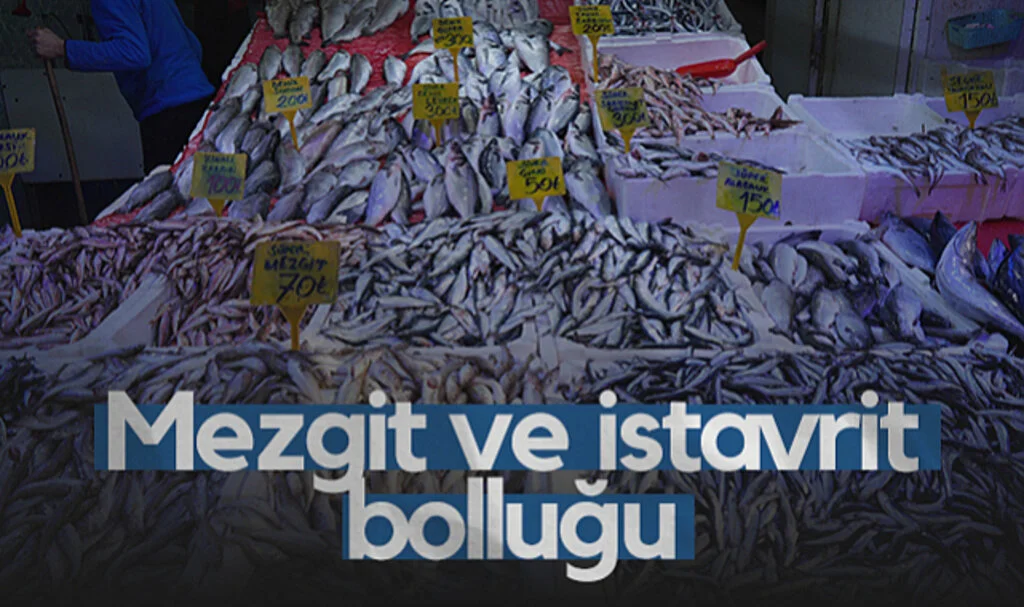 Karadeniz’de Mezgit ve İstavrit Bolluğu! İşte Tezgah Fiyatları...