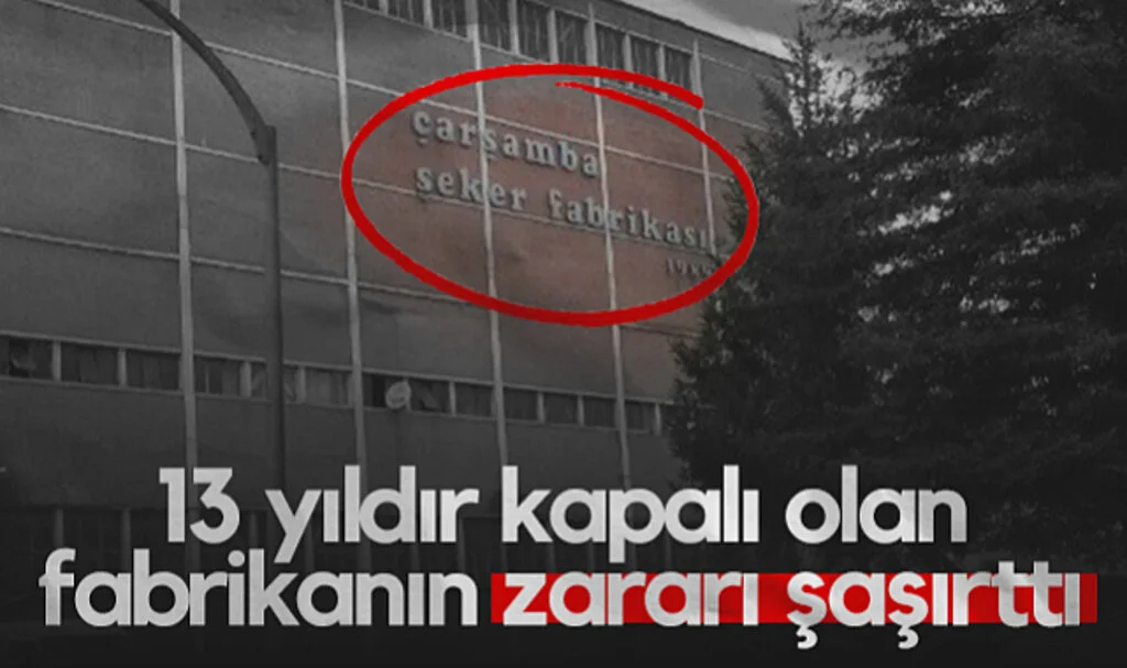 Samsun'da 13 Yıldır Kapalı Olan Fabrikanın Zararı Şaşırttı