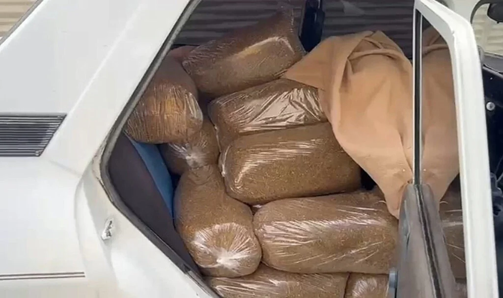 Samsun’da 250 Kilo Kaçak Tütün Ele Geçirildi