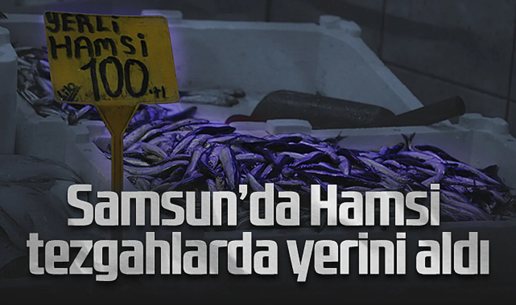 Samsun’da Hamsi 100 TL’den Tezgahlarda Yerini Aldı