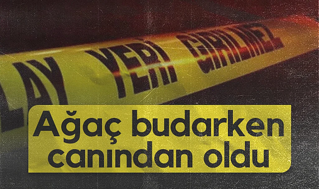 Samsun’da Talihsiz Kaza! Ağaç Budarken Merdivenden Düştü