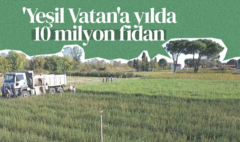 Samsun'da Yılda 10 Milyon Fidan Yeşil Vatan’a Katkı Sağlıyor