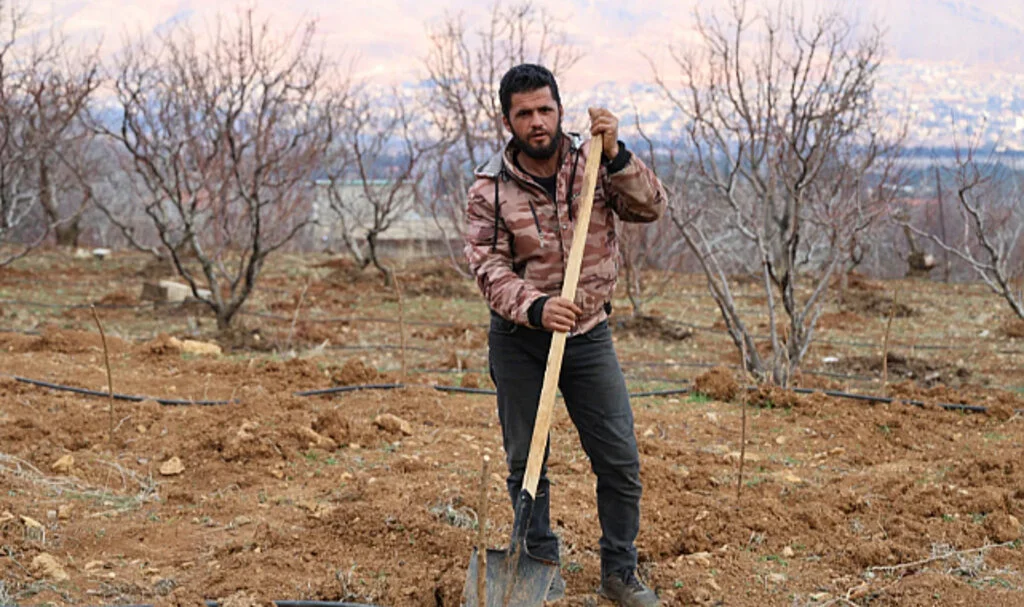 Suriye’de Esad Rejiminin Sonrası Tarımda Yeniden Başlangıç