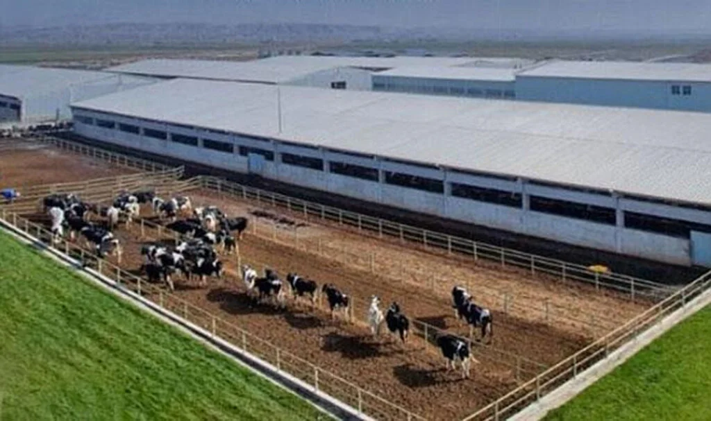 Tarım Bakanlığı’ndan Çiftçilere Destek Müjdesi