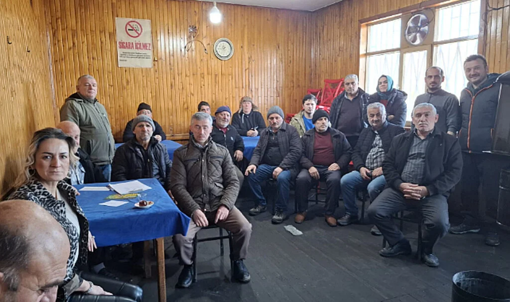 19 Mayıs İlçesinde Kahverengi Kokarca ile Mücadele Gündemde