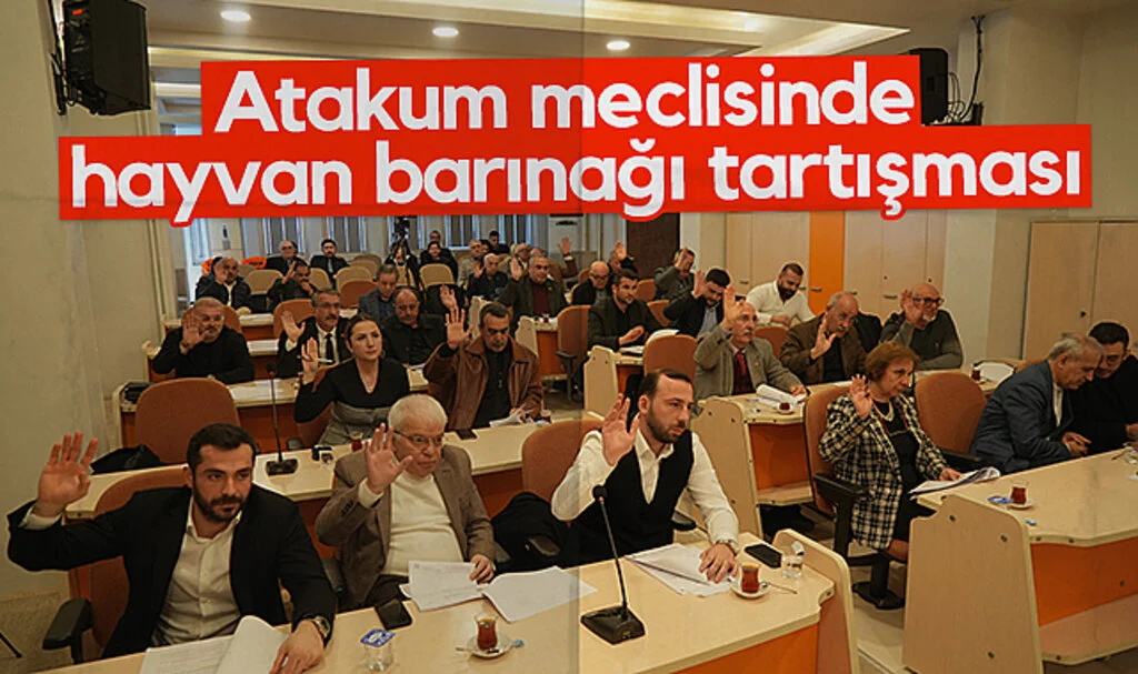 Atakum Meclisinde Hayvan Barınağı Tartışması