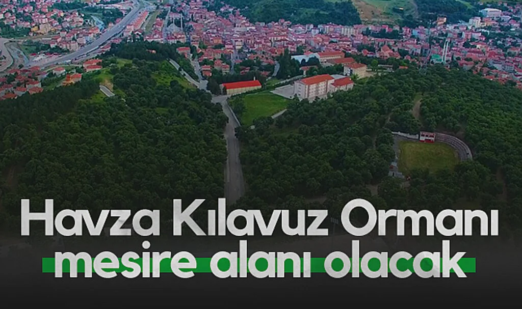 Havza Kılavuz Ormanı mesire alanı olacak
