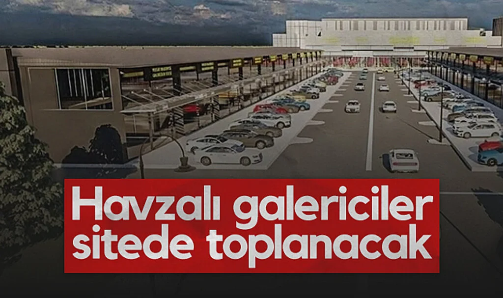 Havzalı galericiler sitede toplanacak