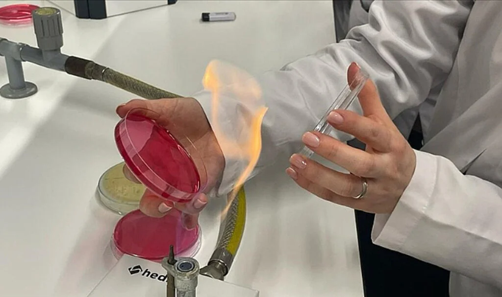 İstanbul Üniversitesi'nden Yeni Bakteri Cinsi Keşfi