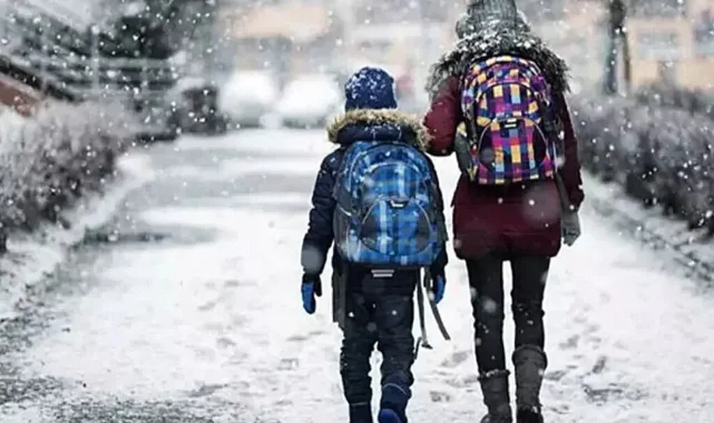 Kar yağışı eğitimi etkiledi! Gümüşhane ve Ordu'da okullar tatil edildi!