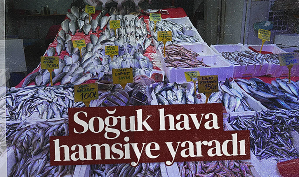 Karadeniz'de Hamsi Bolluğu, Mezgitte Azalma Var