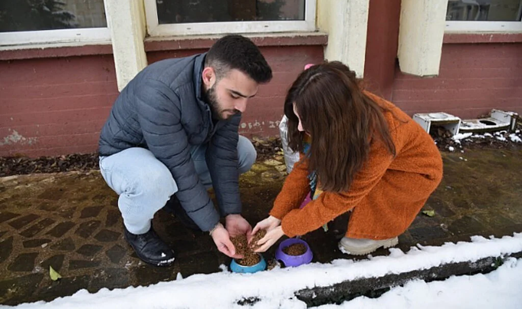 OMÜ Öğrencilerinden Sokak Hayvanlarına Soğuk Havalarda Sıcak Yardım