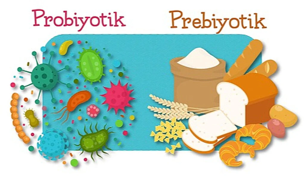 Prebiyotik ve Probiyotik Arasındaki Fark Nedir?