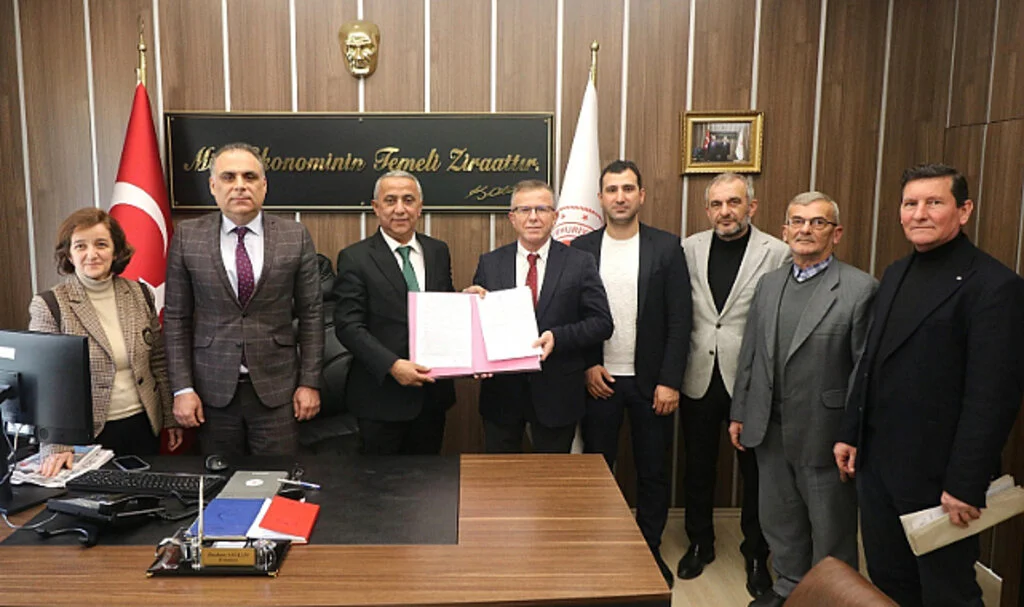 Samsun’da Büyükbaş Hayvan Küpeleme Yetkisi Devredildi