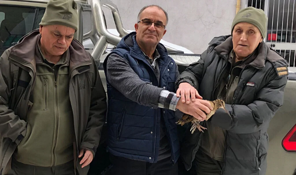 Samsun’da Duyarlı Vatandaş Aç Kalan Kuşu Kurtardı