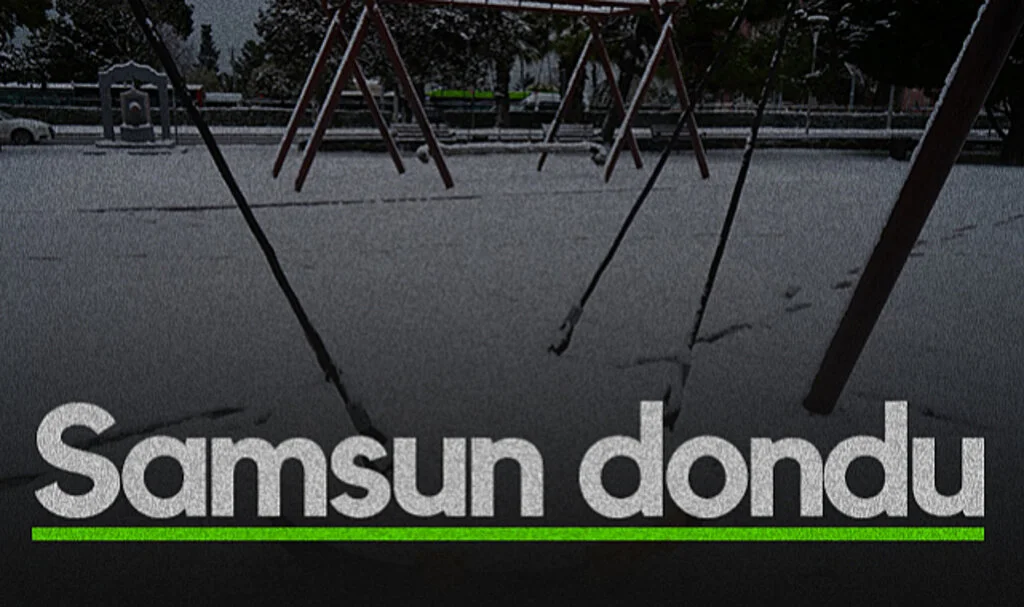 Samsun'da hayat dondu