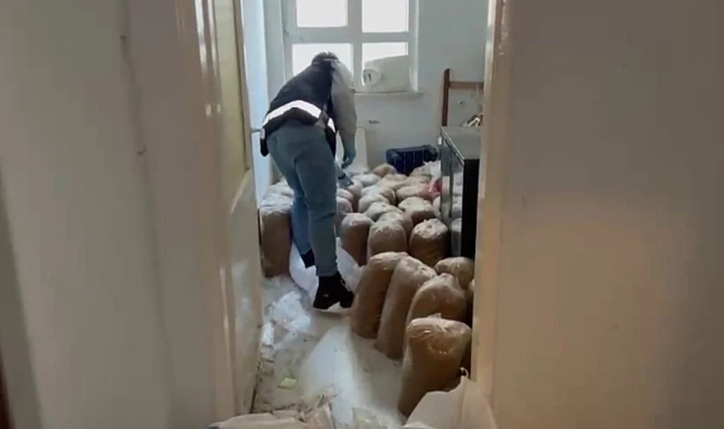 Samsun’da Kaçak Tütün Operasyonu! 177 Bin Makaron Ele Geçirildi