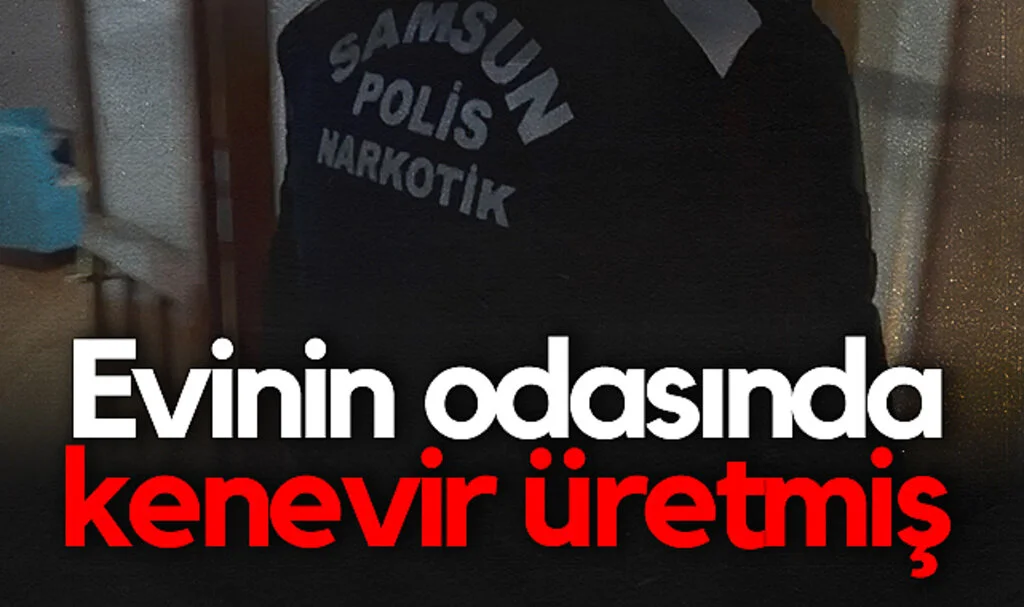 Samsun'da Kenevir Üretimi İçin Kurulan Oda Ele Geçirildi
