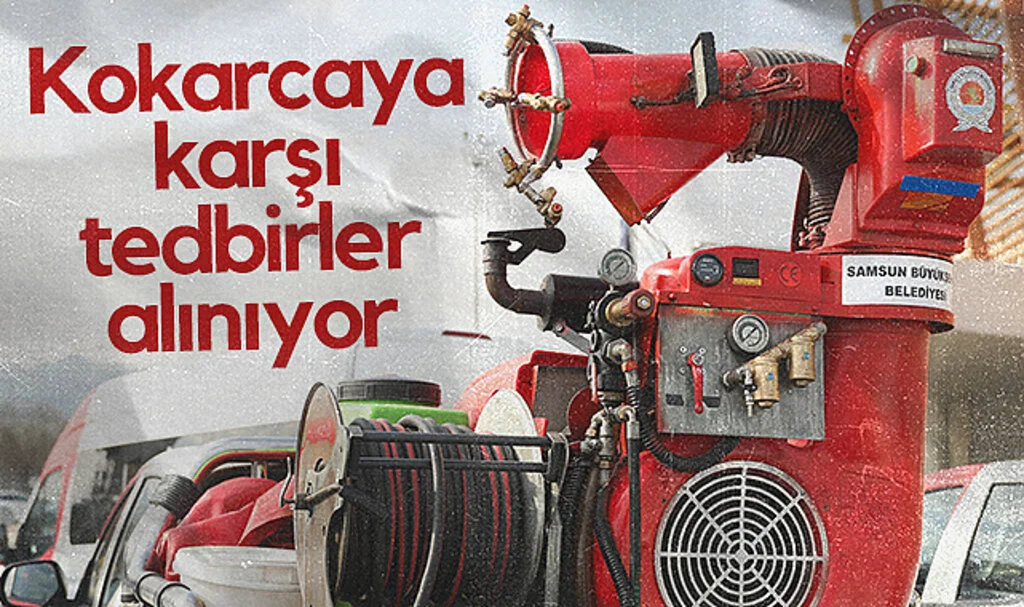 Samsun'da kokarcaya karşı tedbirler alınıyor