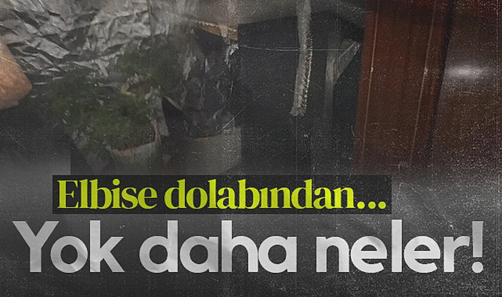 Samsun’da Şoke Eden Uyuşturucu Serası! Elbise Dolabında Kenevir