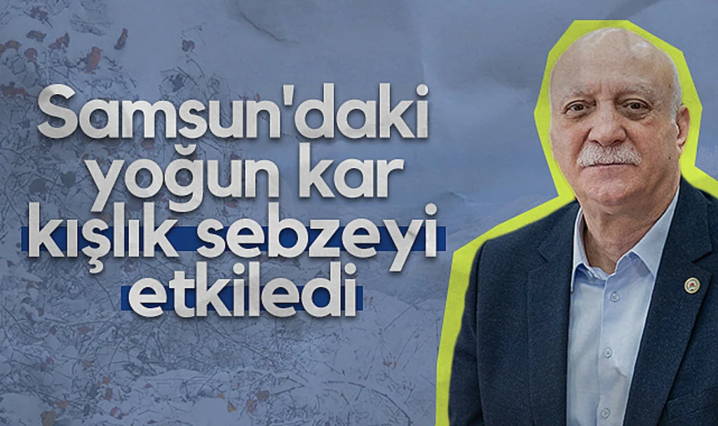 Samsun'daki yoğun kar kışlık sebzeyi etkiledi