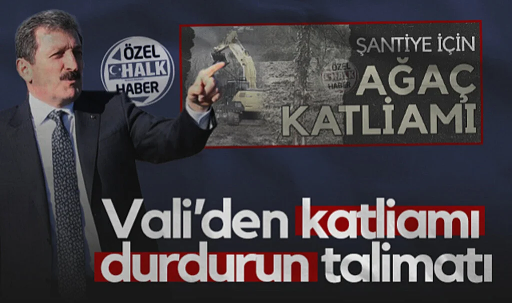 Samsun Valisi Orhan Tavlı'dan Ayvacık'taki Katliamı Durdurun Talimatı