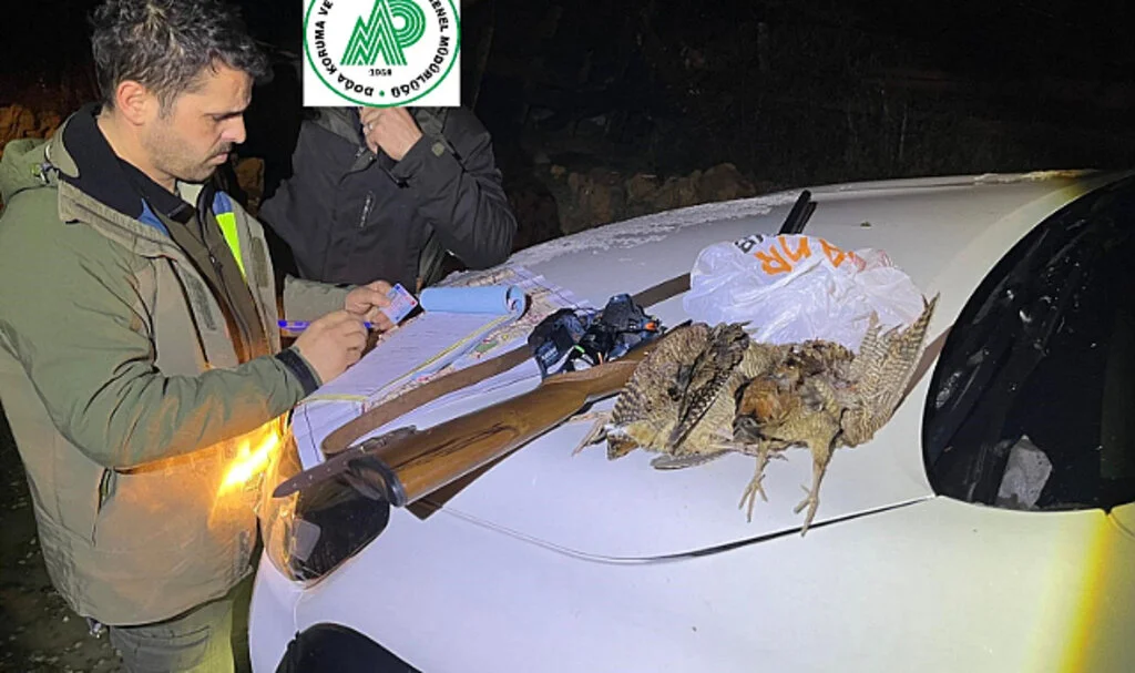 Sinop’ta Gece Avına Yaptırım: 3 Kişiye Ceza Kesildi