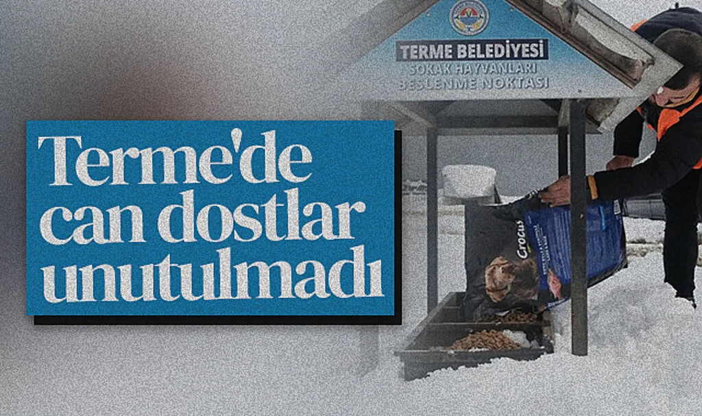 Terme'de Kış Aylarında Sokak Hayvanları Unutulmuyor