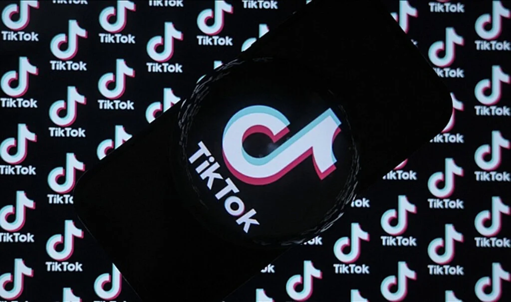 TikTok, Türkiye'den 15,3 Milyon Video Kaldırdı