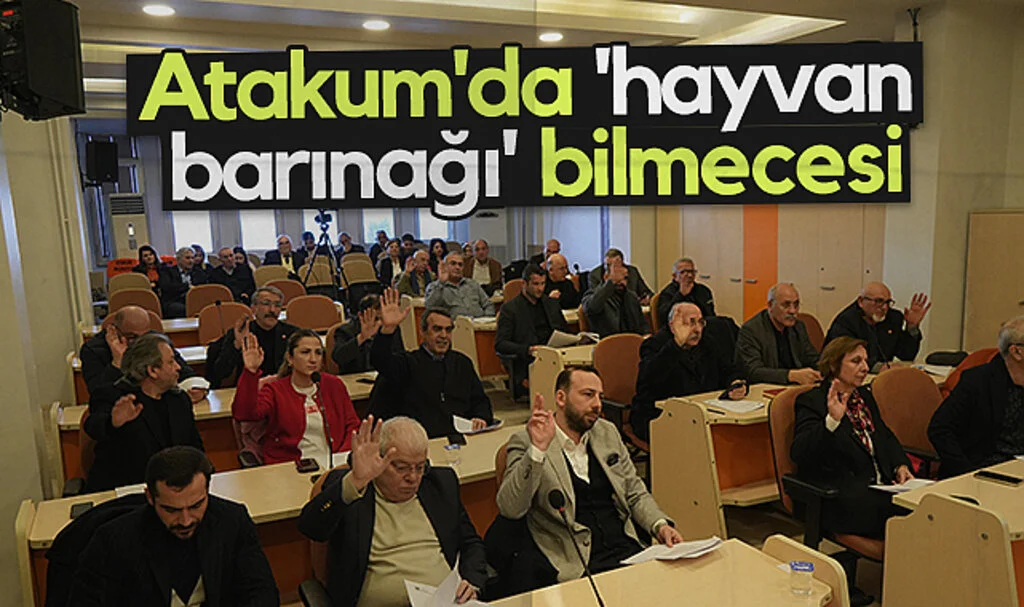 Atakum'da 'hayvan  barınağı' bilmecesi