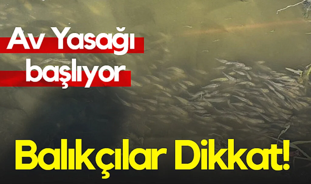 Av Yasağı Başlıyor: Balıkçılar Dikkat!