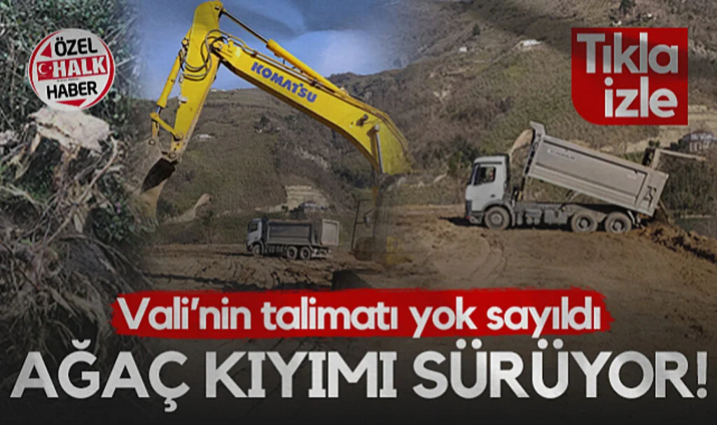 Ayvacık'ta Ağaç Kıyımı Sürüyor! Vali Tavlı'nın Talimatı Yok Sayıldı...
