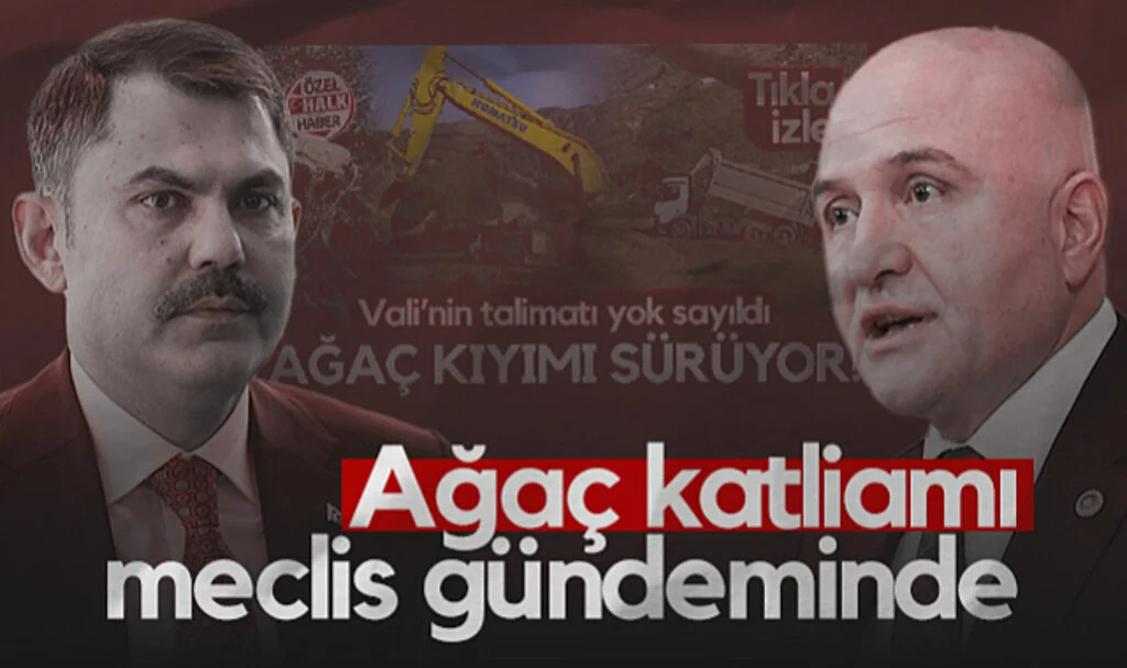 Ayvacık'taki Ağaç Katliamı Meclis Gündeminde! Erhan Usta'dan Bakan Kurum'a Sorular...