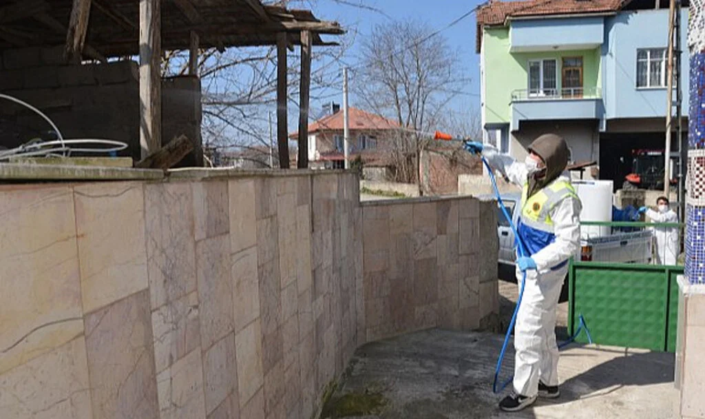 Bafra’da Kahverengi Kokarca ile Mücadele Başladı