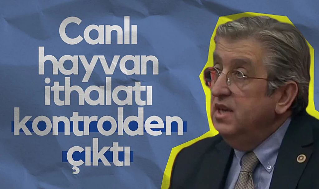 CHP Samsun Milletvekili Murat Çan: Canlı hayvan ithalatı  kontrolden çıktı