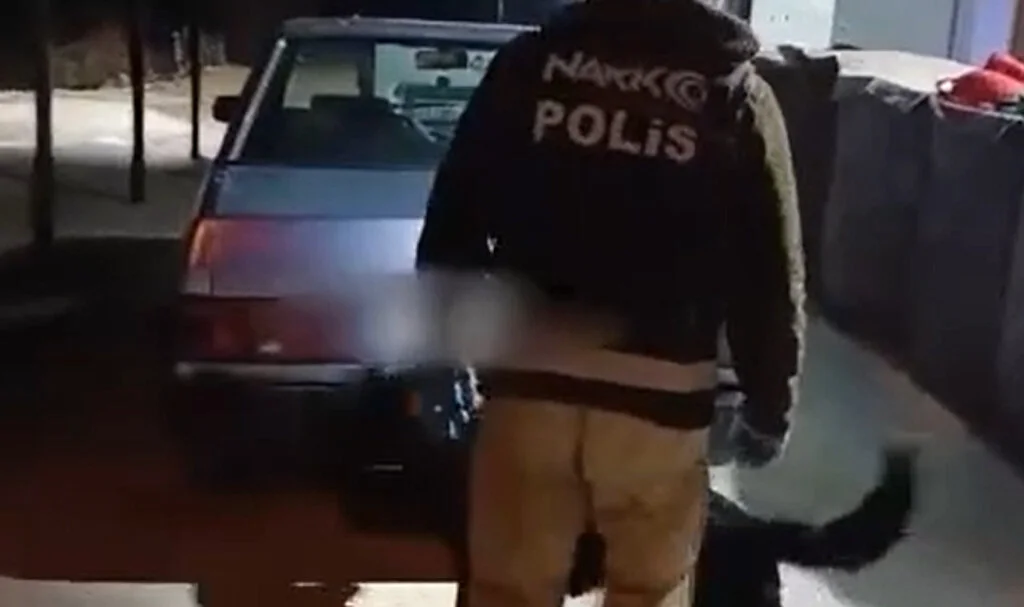 Havza'da Araçta Uyuşturucu Bulundu: Tony Yakaladı