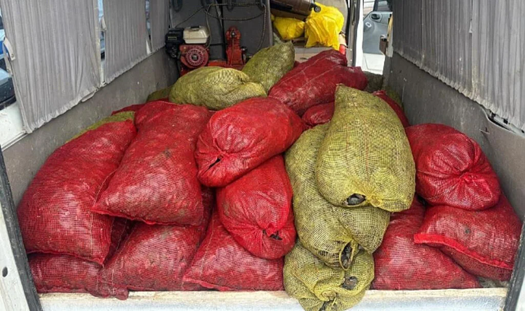 Samsun’da 1,5 Ton Kaçak Midye Ele Geçirildi