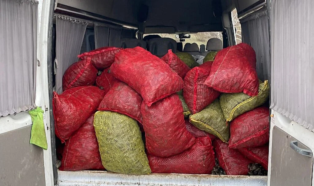 Samsun’da 2 Ton Kaçak Midye Ele Geçirildi