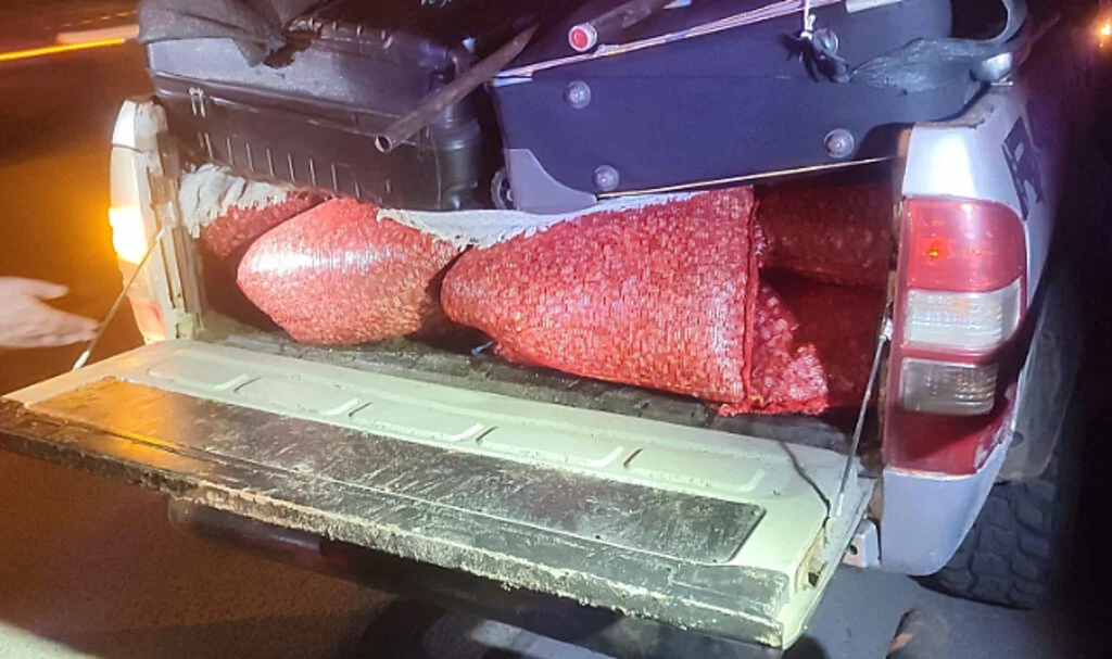 Samsun'da 600 Kilo Kaçak Kum Midyesi Ele Geçirildi