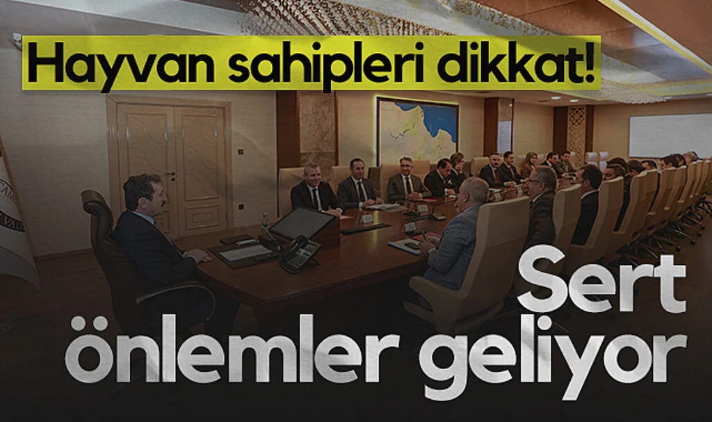 Samsun'da Hayvan Koruma Kanunu İçin Sert Önlemler Geliyor