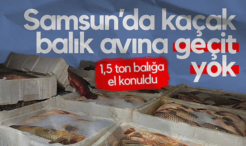 Samsun'da Kaçak Balık Avına Geçit Yok: 1,5 Ton Balığa El Konuldu!