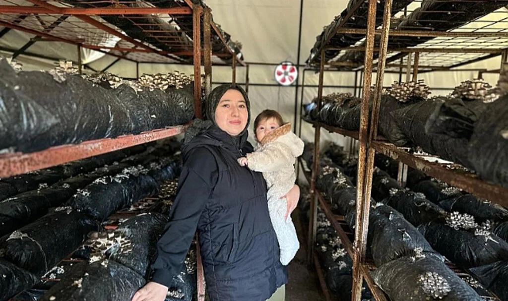 Samsun'da Kadın Girişimcinin Mantar Üretim Başarısı