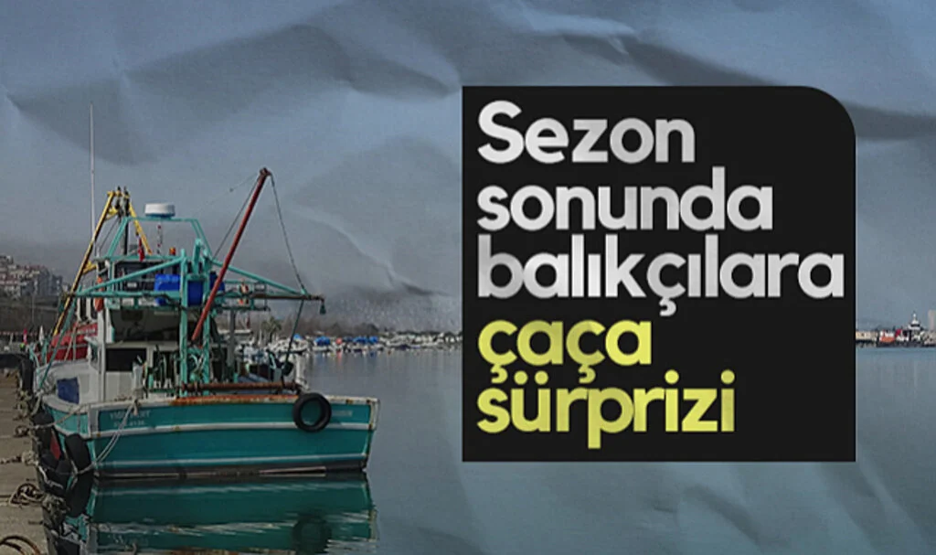 Samsun'da Sezon Sonunda Balıkçılara Çaça Sürprizi
