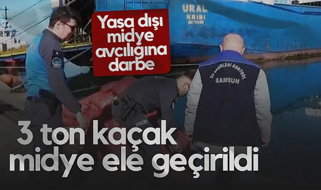 Samsun'da Yasa Dışı Midye Avcılığına Darbe! 3 Ton Kaçak Midye Ele Geçirildi