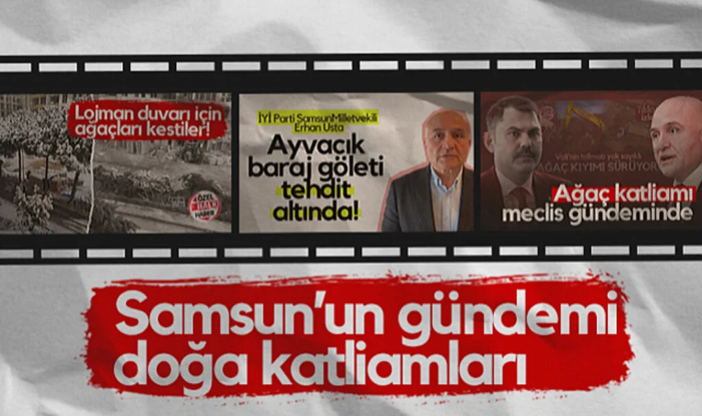 Samsun'un Gündemi Doğa Katliamları
