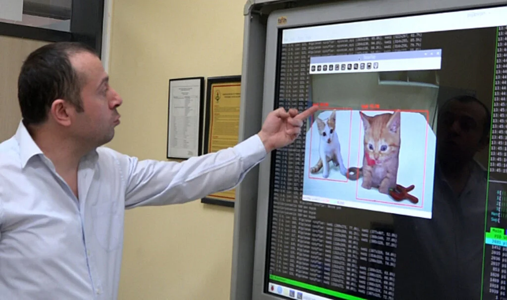 Yapay Zeka Destekli Kedi Kapısı: 'Solo Pati'