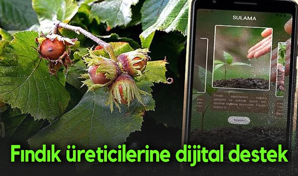 Yapay Zekâ ile Fındık Üretiminde Verimlilik Artacak