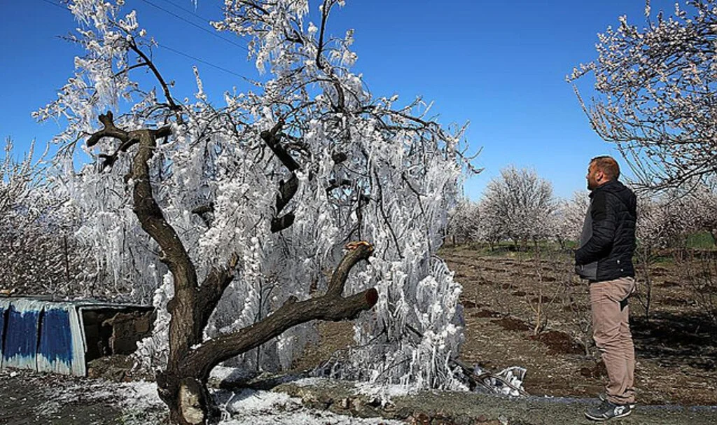 16 Nisan Hava Durumu: Yağış, Don ve Sis Uyarısı