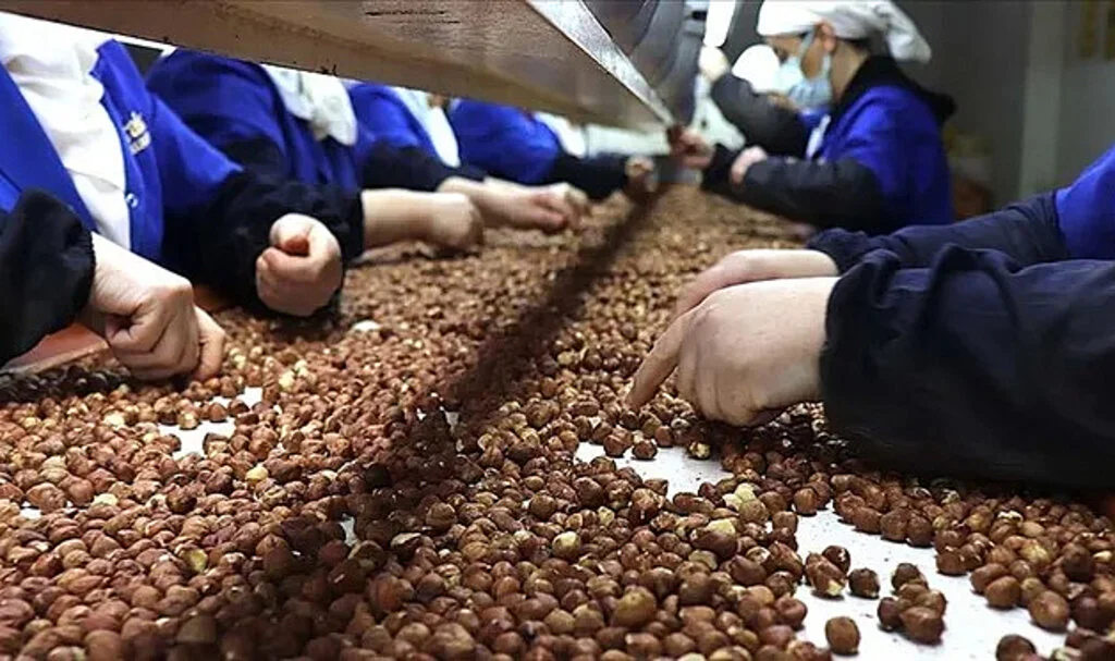 2025’in İlk Çeyreğinde Fındık İhracatı 643 Milyon Dolar