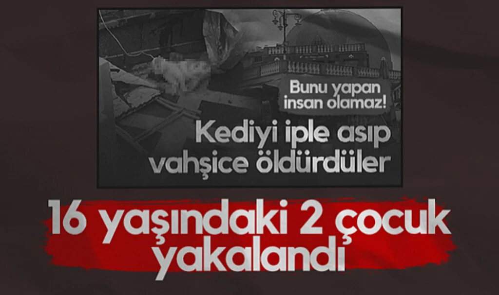 Atakum'da Kediyi Vahşice İple Asan 16 Yaşındaki 2 Çocuk Yakalandı!